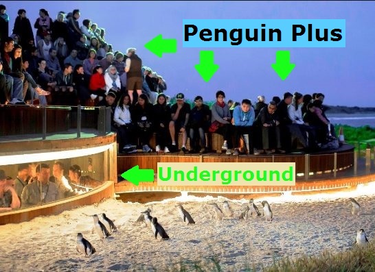 Penguin Underground